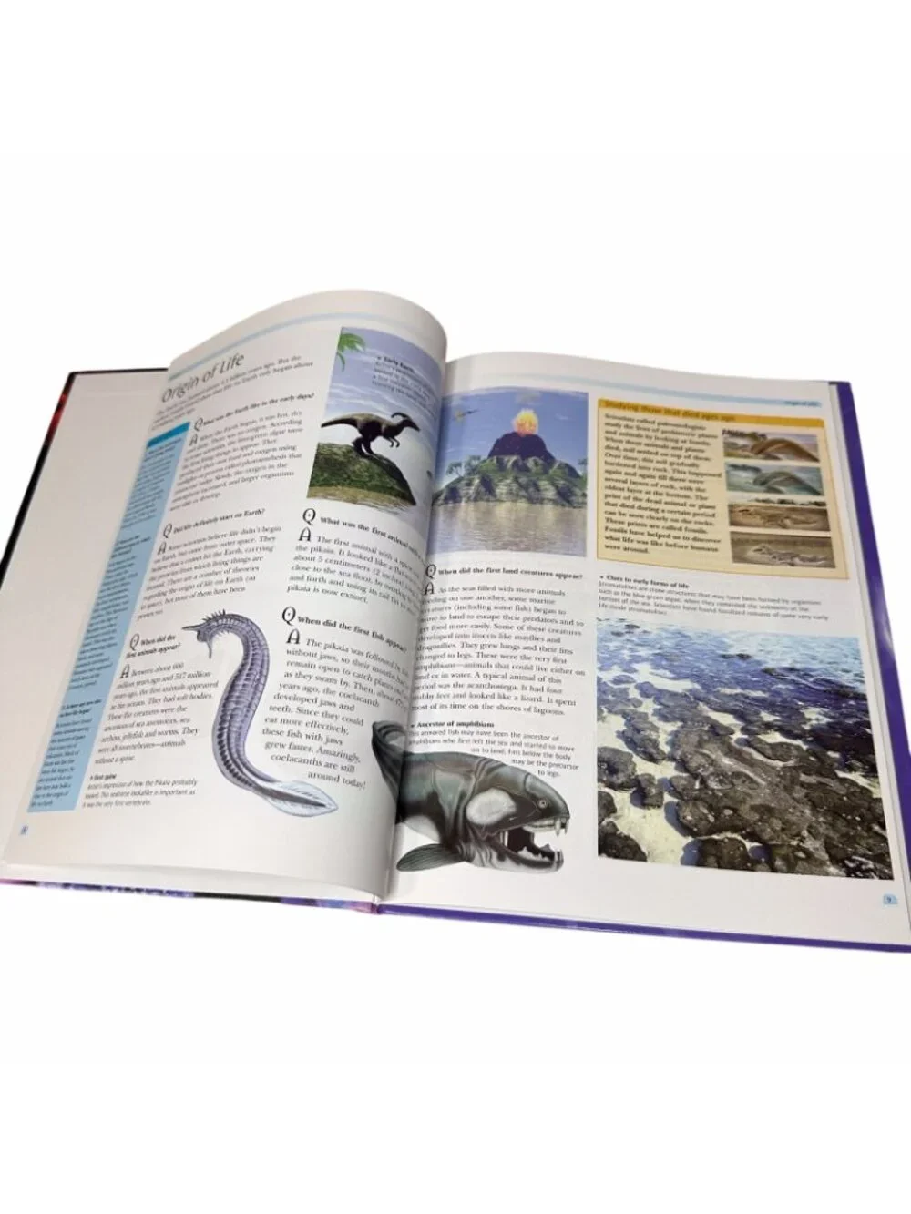 Arcturus Questions & Answers Lot 5 Hardcover Books Science History Animals Kids